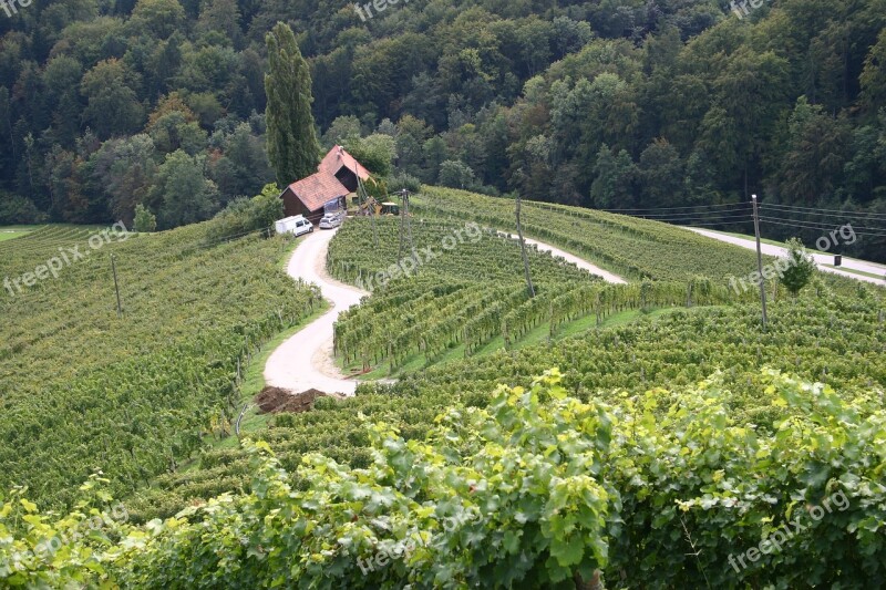 Heart Road Wine Region Slovenia Free Photos