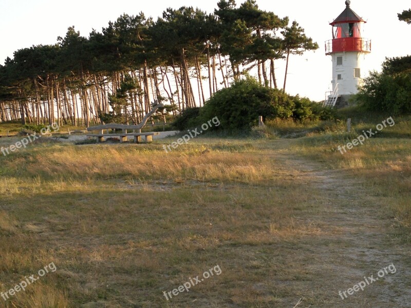 Hiddensee Lighthouse Wooden Bench Free Photos