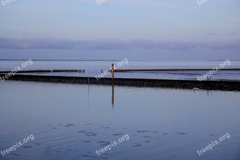 Ebb Dusk Coast Wadden Sea Free Photos