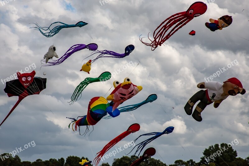 Dragons Dragon Festival Wind Sky Flying