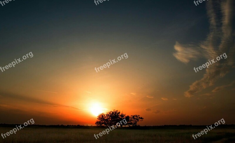 Sundown Tree Bare Free Photos