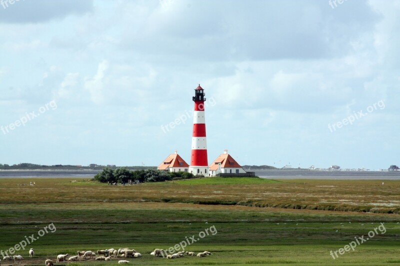 Westerhever Lighthouse Salt Marshes National Park Wadden Sea Nordfriesland Coast