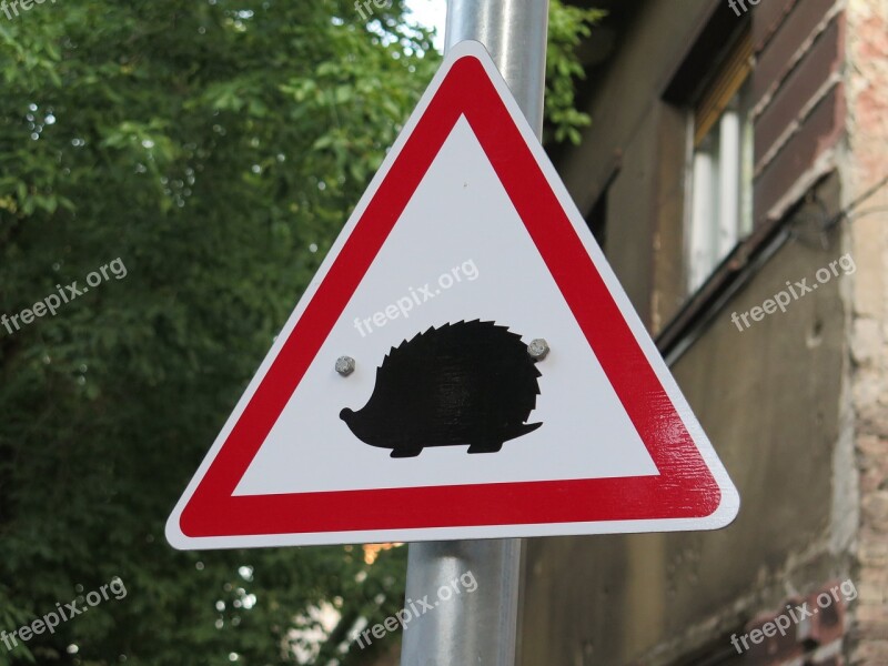 Hedgehogs Hazard Rules Of The Road Traffic Symbol Safety