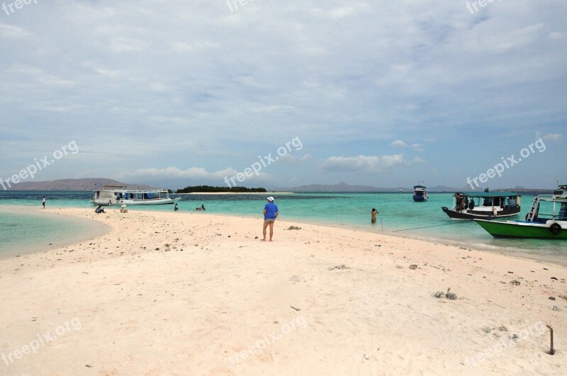 Island Flores Indonesia Komodo Rinca Island