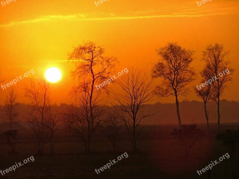 Sunset Winter Landscape Nature Tree