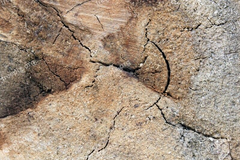 Background Wood Ring Weathered Cracked Wood