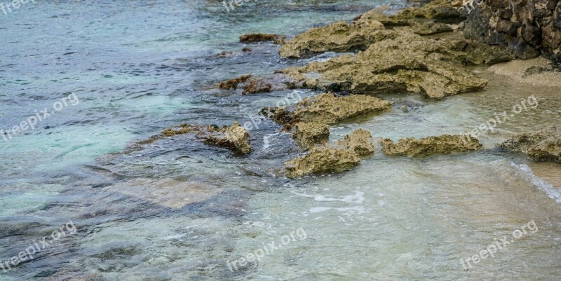 Coral Reef Mexico Water Caribbean Rocks