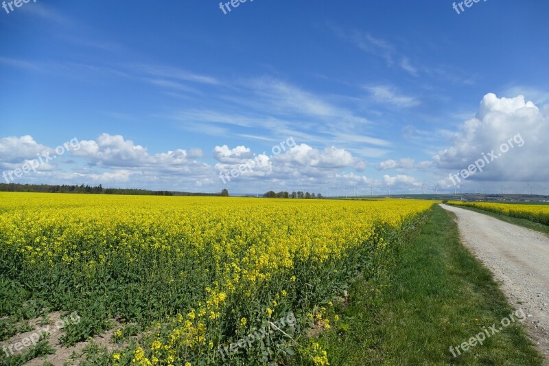 Field Of Rapeseeds Clouds Sky Landscape Blue