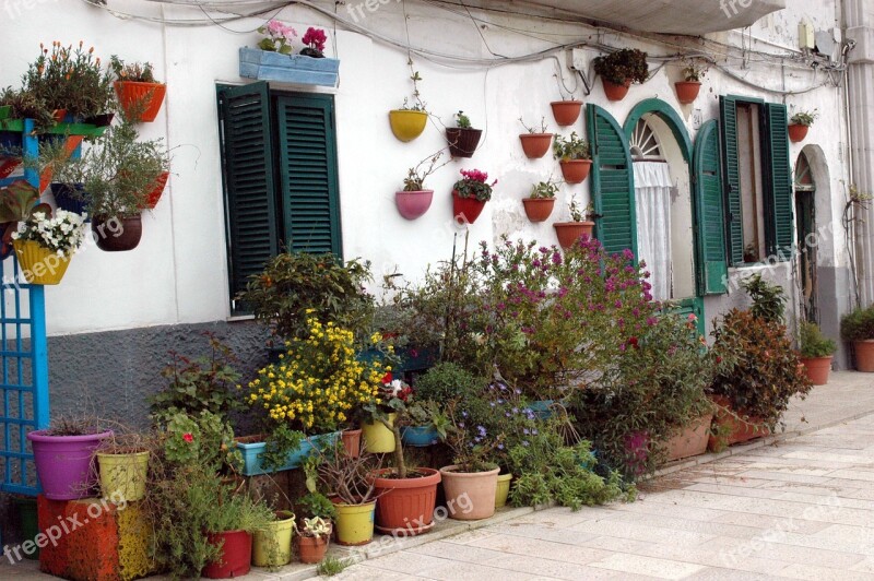 House Coast Garden Plants Italy