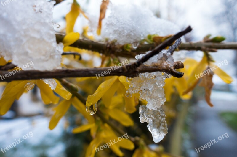 Winter Blast Snow Melt Drip Frost