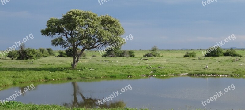 Namibia Etosha Watering Hole Lake Landscape