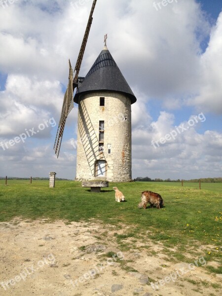 Landscape Dog Windmill Free Photos