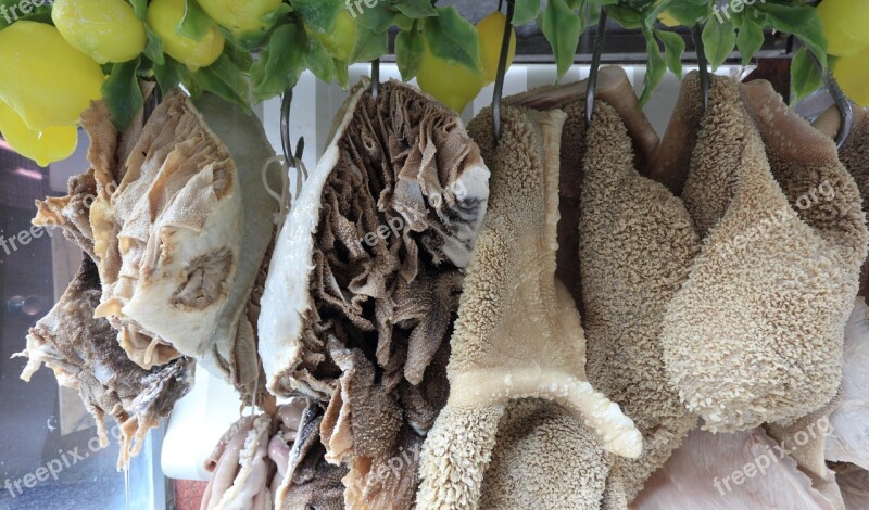 Italy Naples Food Vendor Intestines