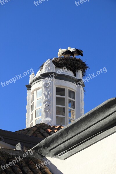 Portugal Faro Building Tower Nest