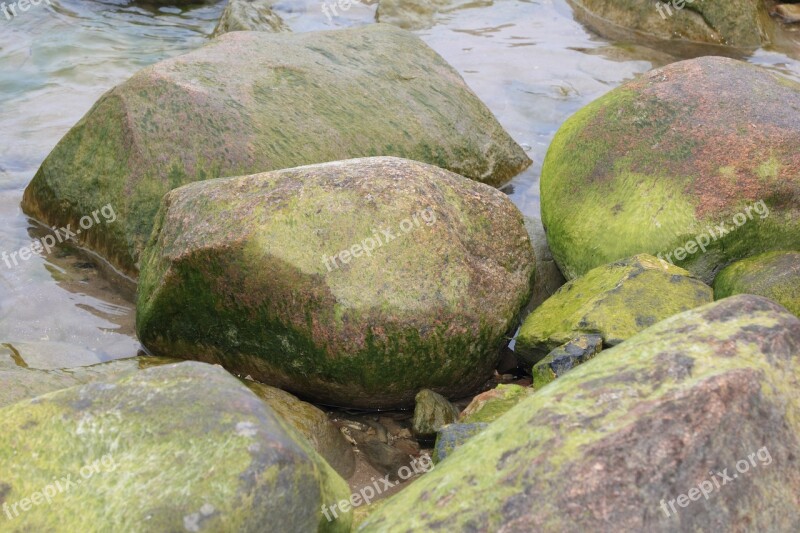 Latvia Kolka Algae Beach Sea