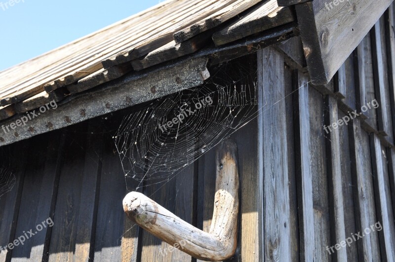 Wood Shed Spider Cobwebs Solar