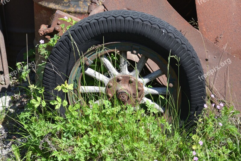 Nature Spring Tires Veteran Retro