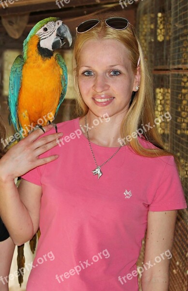 Blonde Woman Parrot Macaw Love Free Photos