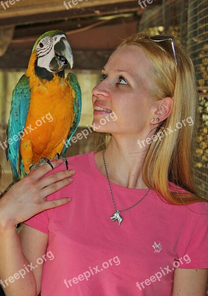 Parrot Macaw Weave Woman Love