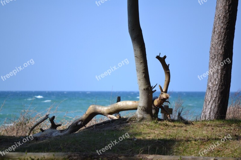 Nature Sea Baltic Sea West Beach Free Photos