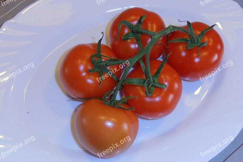 Tomatoes Bush Tomatoes Trusses Red Food