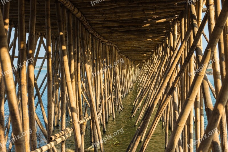 Cambodia Kampong Cham Bamboo Bridge Tonle River