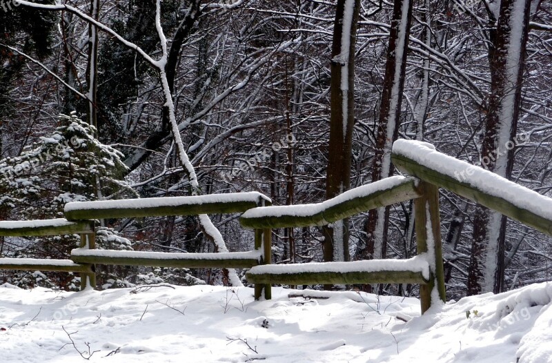 Winter Snow Winter Landscape Forest Wooded Barrier