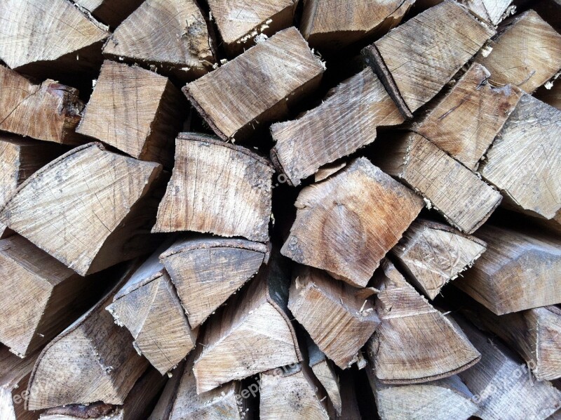 Wood Logs Wood Pile Nature Forest