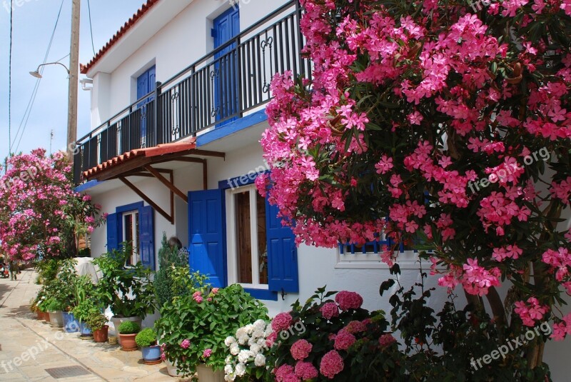 Samos Oleander Greece Window Facade