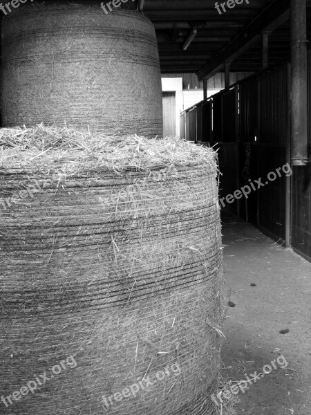 Stall Hay Straw Horse Stable Straw Bales