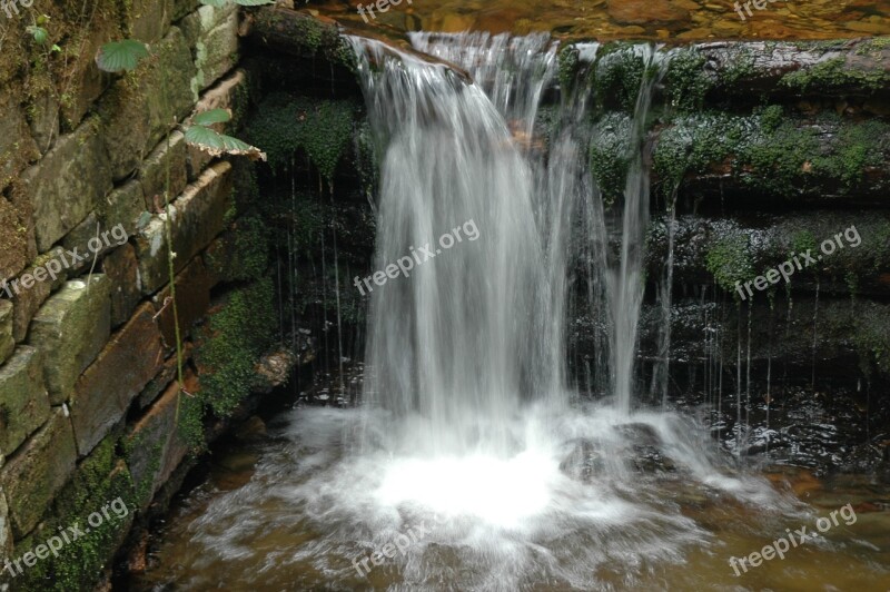 Forest Upper Harz Water Shelf Altenau Small Oker Water