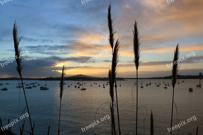 Rangitoto Volcano Dawn Sunrise Water