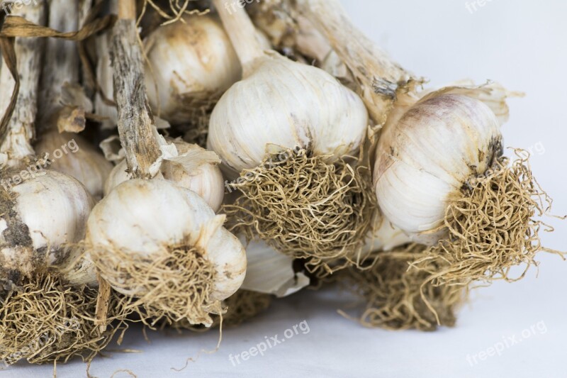 Garlic Heads Of Garlic Condiment Plant Bulb Free Photos