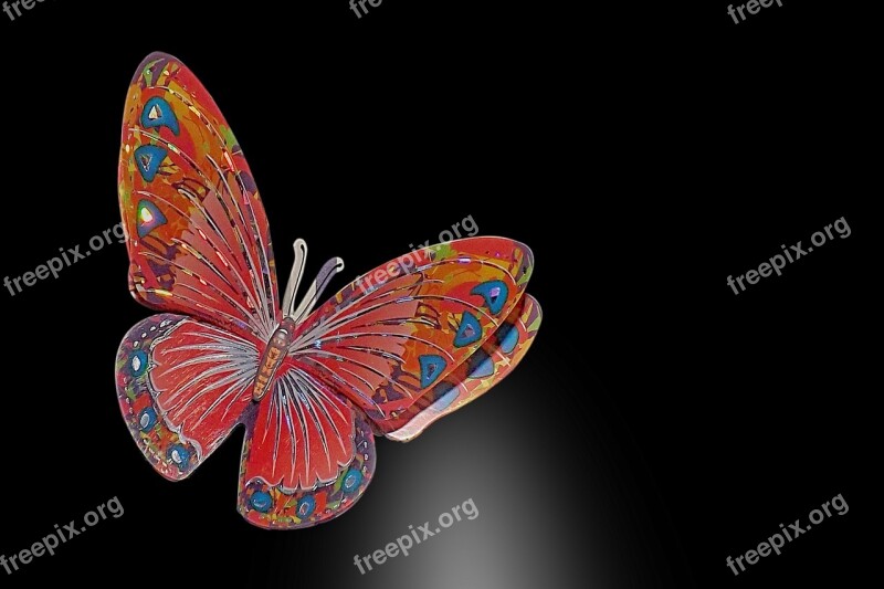 Butterfly Black Background Art Deco Decoration