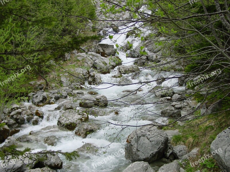 Stream Nature Rocks Forest Water