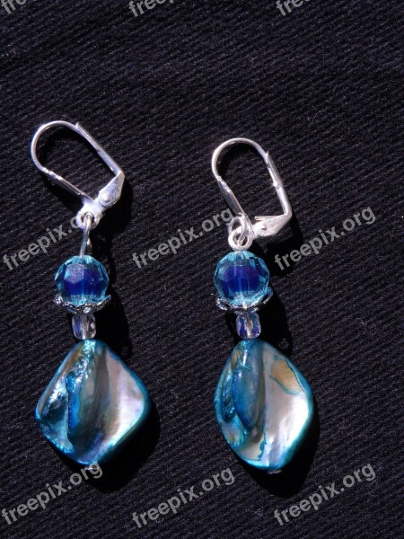 Earrings Blue Beads Sparkling Jewellery