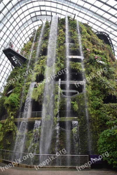 The Fall Singapore Flower Dome Free Photos