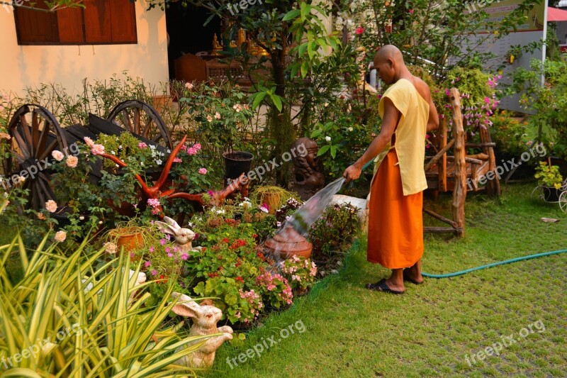 Monk Gardening Thailand Garden Traditional