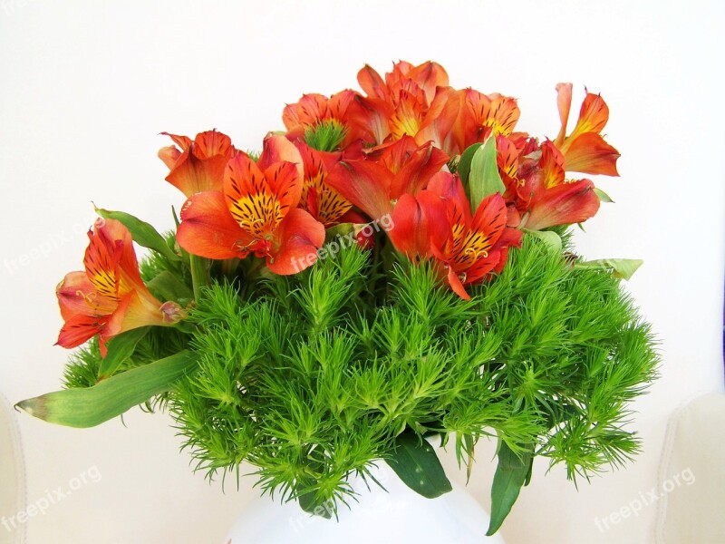 Bunch Of Flowers Freesia Red Flower Free Photos