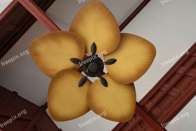 Fan Ceiling Fan Air Cool Interior