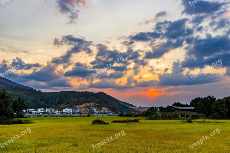 Hoằng Than Sesame My Hometown Home