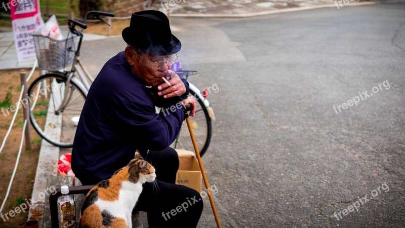 Cat Old Man Peaceful Tobacco Free Photos