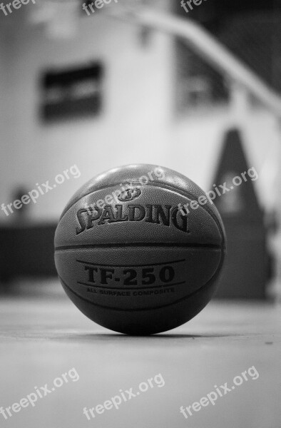 Basket-ball Ball Basketball Black And White Hall