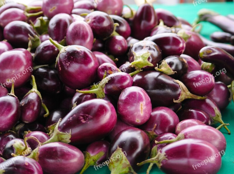 Eggplant Purple Aubergine Fresh Vegetable