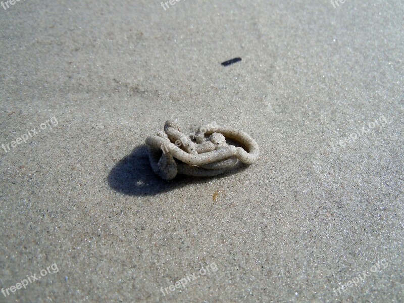 Lugworm Beach Baltic Sea Free Photos