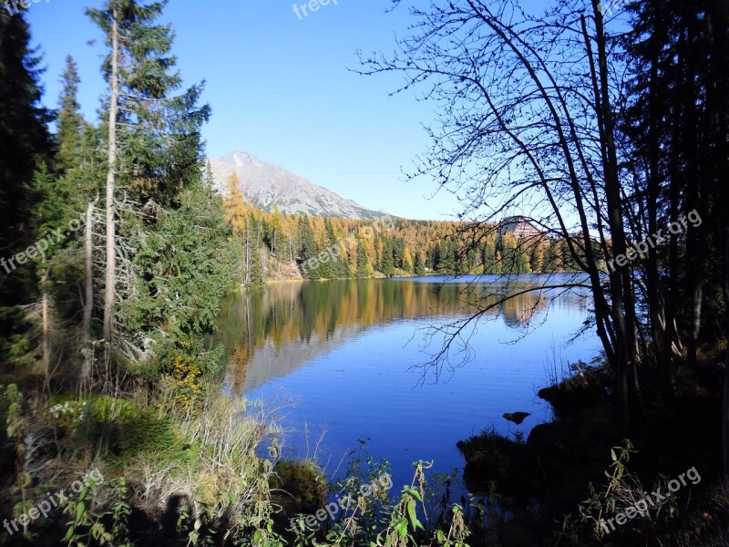 Tatra Mountains Lomnic Lake Forest Free Photos