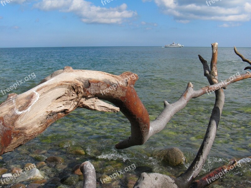 Baltic Sea Rügen Dead Wood Coast Bank