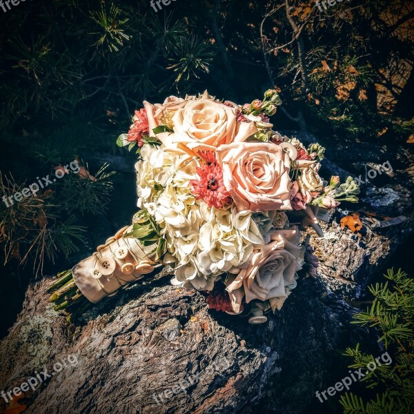 Wedding Wedding Bouquet Roses Bouquet Bride