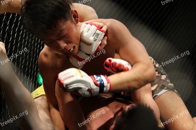 Mma Grachan Mixed Martial Arts Japan Martial Arts