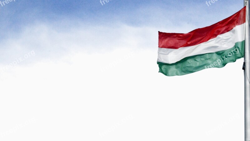 Hungarian Flag Freedom Love Free Photos